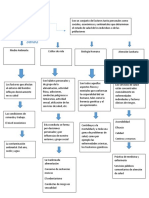 Tarea 2.1 Mapa Conceptual Determinantes Sociales Lab Salud y Sociedad