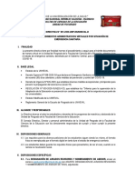 Directiva #01-2020 ..