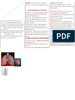 Circulatory System - Lecture