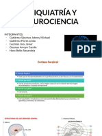 T3 - Psiquiatria y Neurociencia