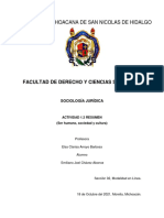 Act 1 3 Resumen Sociologiajuridica EmilianoChavez