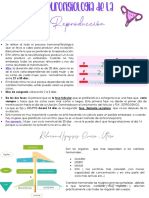 Resumen Clase 3 Gine