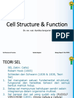 Cell Structure Function