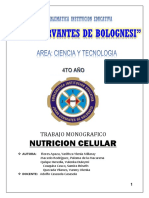 Informe Monografico Equipo 5