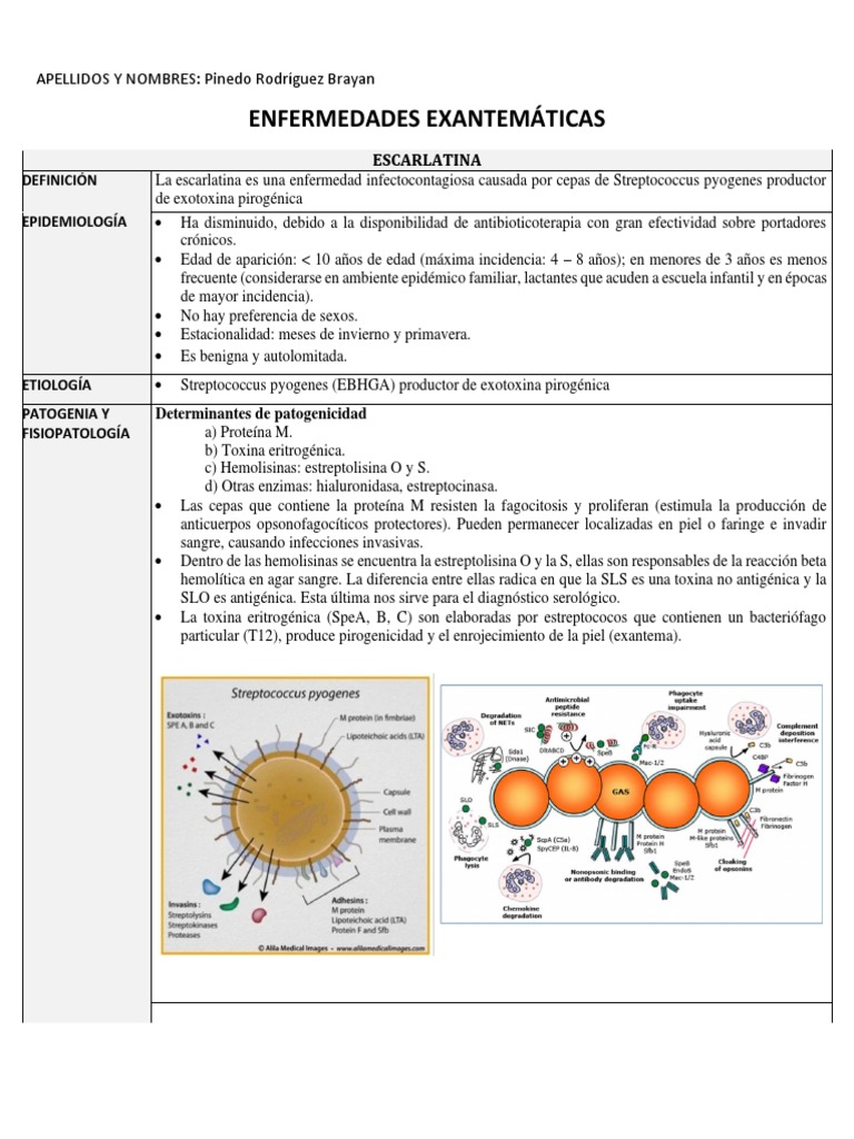 Enfermedades Exantemáticas Pdf Sarampión Virus