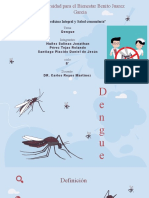 Dengue 8 Ciclo