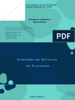 Apresentação de ISO - Comandos de Gerencia de Processos