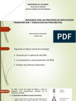 Seminario Tema 1