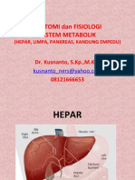 Metabolisme Sistem