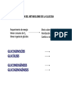 Unidad 6. Regulacion Metabolica