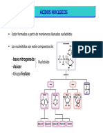 Unidad Tematica 7. Estructura y Replicacion Del DNA