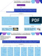 Colesterol y Triglicéridos