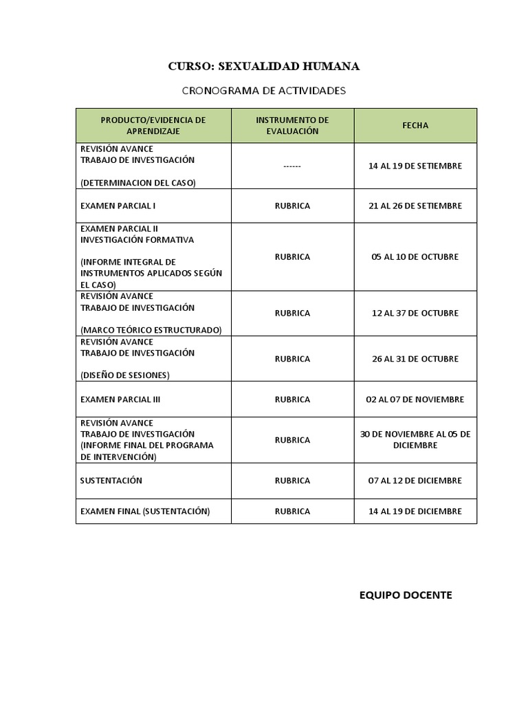Cronograma De Actividades Pdf