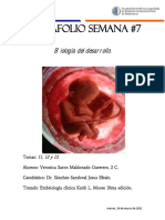 Desarrollo del sistema urogenital y genital en embriones humanos