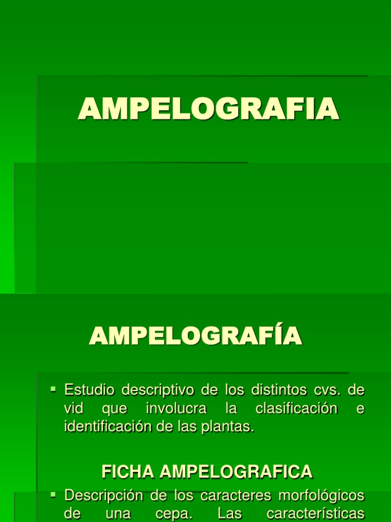AMPELOGRAFIA Quinta Clase | PDF | Hoja