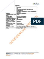 Final Report Cymoxanil+ Hidroxido de Cobre+ Mancozeb Tomato