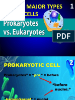 STEM-123-7-CELL-TYPES