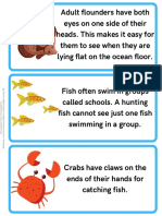 Fun Facts - Under The Water