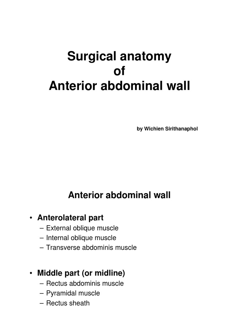 Anatomy of the Anterior Abdominal Wall | PDF | Abdomen | Human Anatomy
