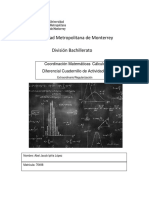 ACTIVIDAD CÁLCULO DIFERENCIAL Terminado