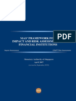 1. Monograph MAS Framework for Impact and Risk Assessment