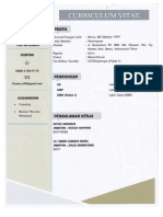 Contoh Curriculum Vitae Fia Apriani