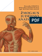 Zmogaus Judejimo Anatomija
