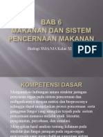 Bab 6 - Sistem Pencernaan