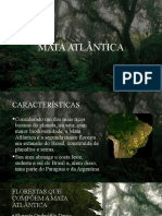 Mata Atlântica, a segunda maior floresta do Brasil