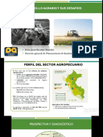 desarrollo agrario y desafios - peru 2022