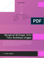 Mengenal Berbagai Jenis Telur Budidaya Unggas