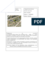 Documento PDF