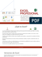 PPT-Excel PROFESIONAL