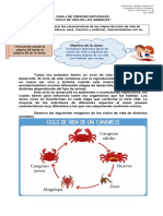 2°A_2°B_Cs_Naturales_Guía_N°4_29_Junio_al_17_Julio