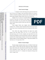 TINJAUAN PUSTAKA Botani Tanaman Manggis... Tanaman Manggis - PDF Download Gratis