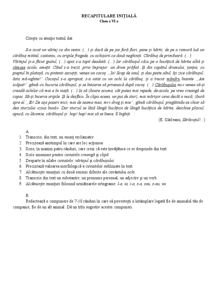 Recapitulare Inițială | PDF