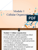 1.1 Cell Structure