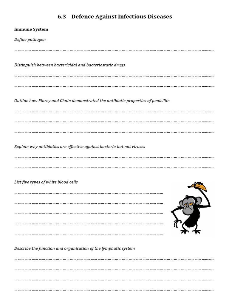 Immunity Worksheet | PDF | Antibody | Inflammation