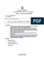 8vo Básico, Guía de Aprendizaje N°2 Cs. Naturales