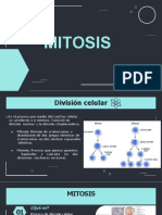 División Celular Mitosis