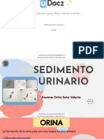 Sedimentacion Urinaria 358096 Downloable 746702