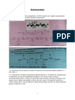 Referat proteina