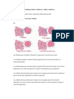 Taller Fisiología Ruidos Cardiacos y Soplos Cardiacos