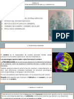 Fundamentos Biológicos