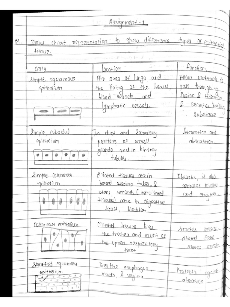 11D (81) Biology-2 Assignment | PDF
