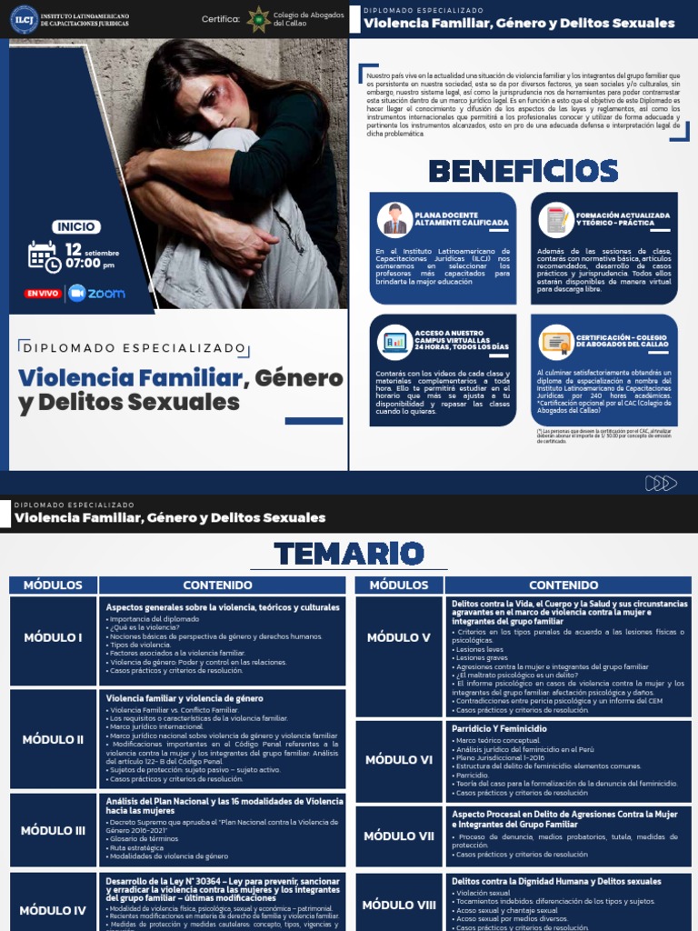 Violencia Familiar | PDF | La violencia contra las mujeres | Violencia ...