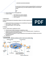 Lymphome Malin Non Hodgkinien