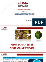 Fitoterapia en El Sistema Nervioso y en El Sistema Digestivo.