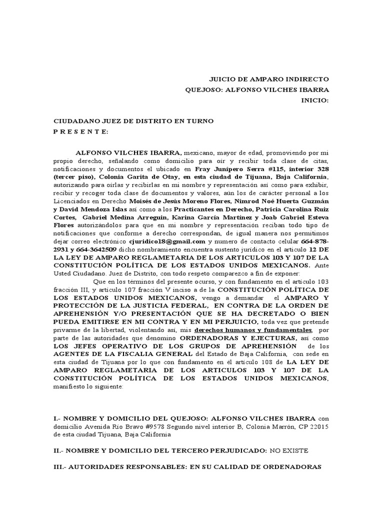 Amparo de Alfonso Vilches Ibarra | PDF | Caso de ley | Demanda judicial
