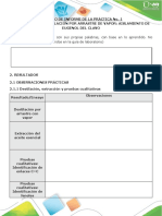 Anexo 1 - Formato de Informe de Laboratorio - Química Orgánica
